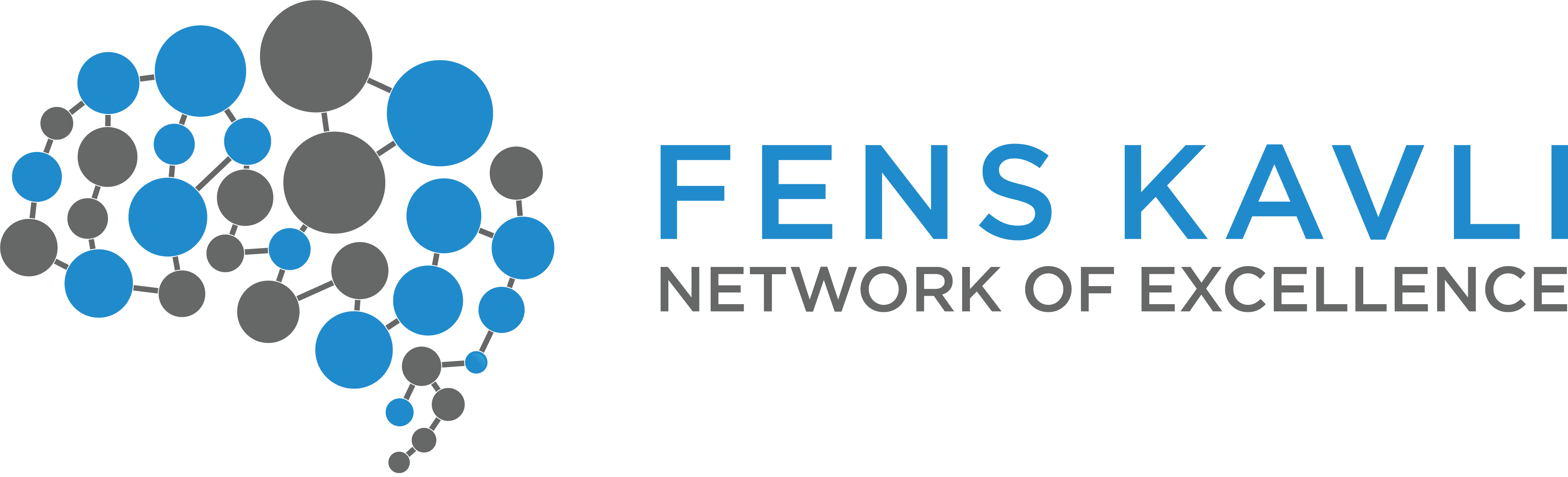 FKNE – FENS-Kavli Network of Excellence